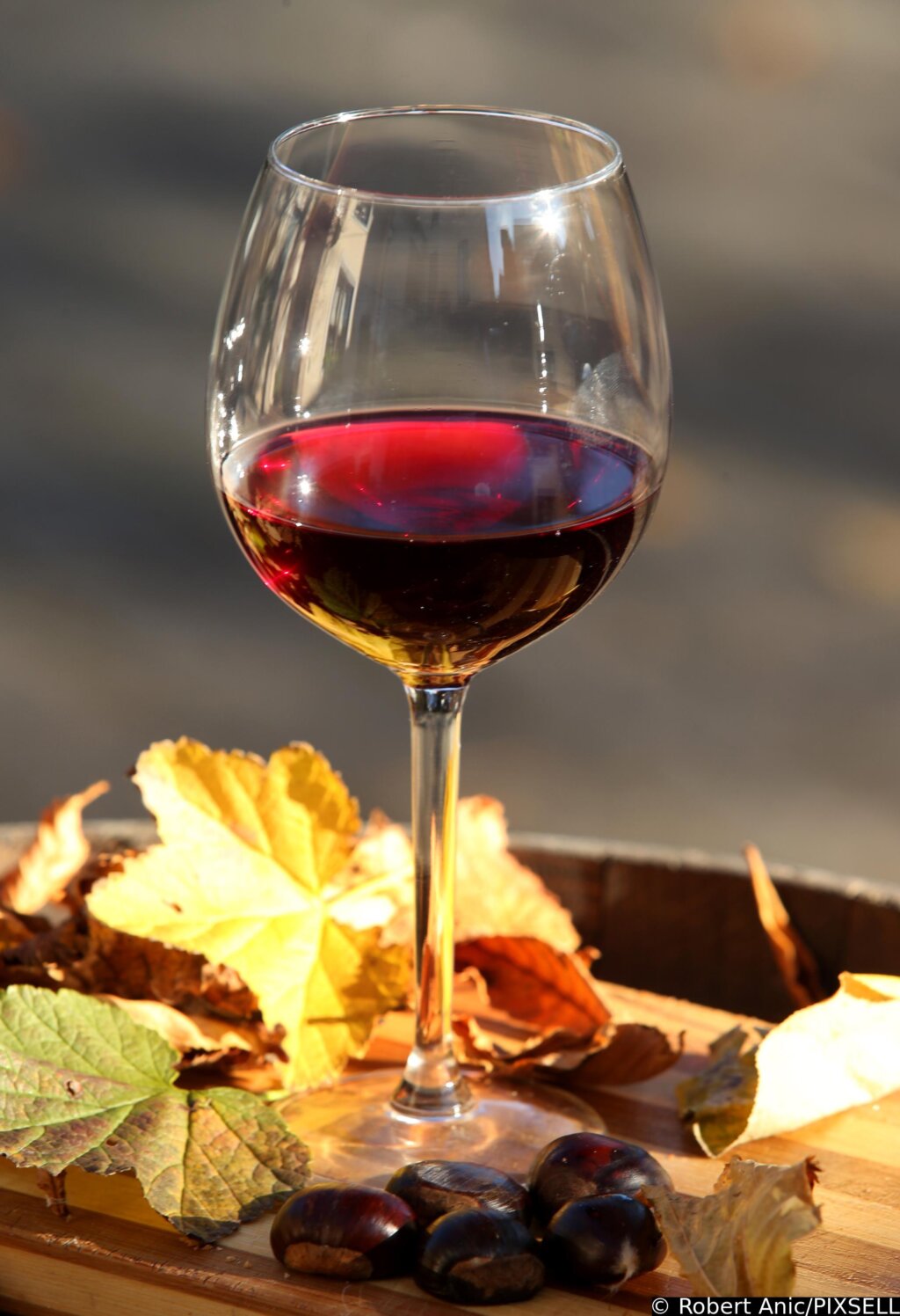 Meni Za Blagdan Martinja