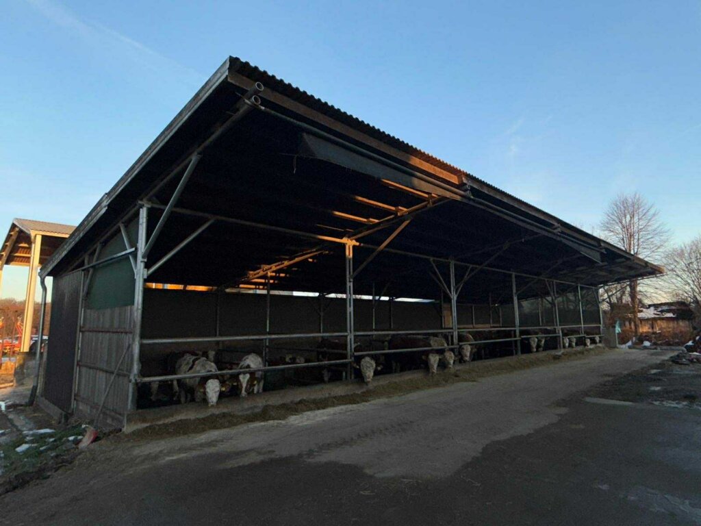 Damir Horvatić Opg (3)