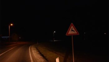 Divljač Ilustracija