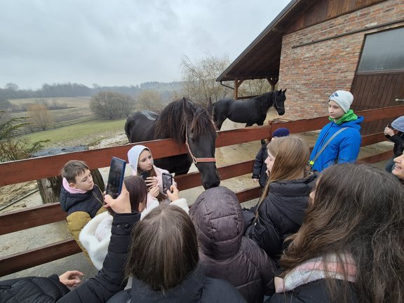 20260205 145426.jpg 648x432 Q85 Subsampling 2