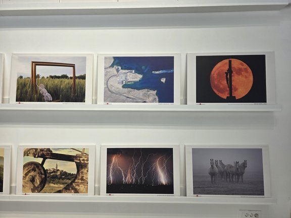 20260225 102343 Resized.jpg 648x432 Q85 Subsampling 2