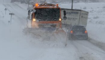 2a4a0cff 4c18 4403 Ac26 213c36049e86