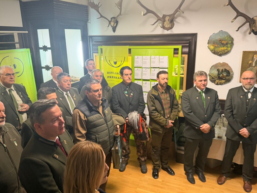 627358262 122228745266144433 2690001712787056919 N