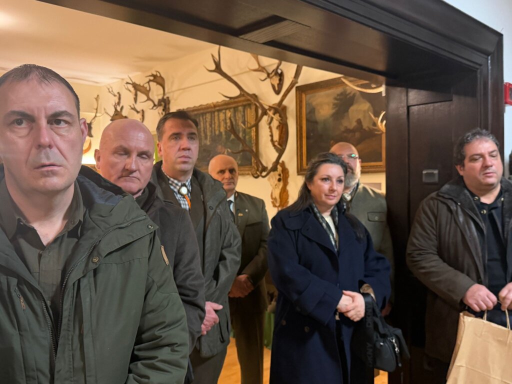 627686355 122228745284144433 8774211879192147196 N