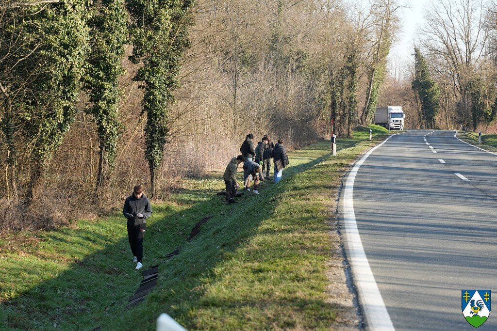 Akcija Spašavanja Vodozemaca 5