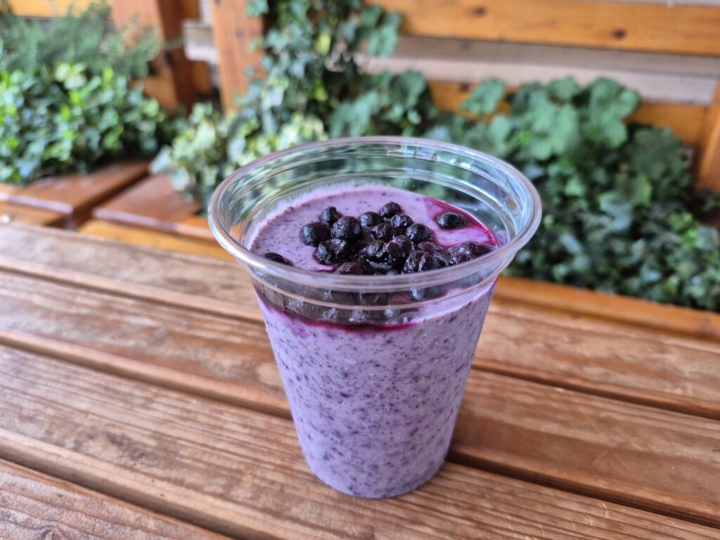 Chia Puding Sa Sumskim Vocem