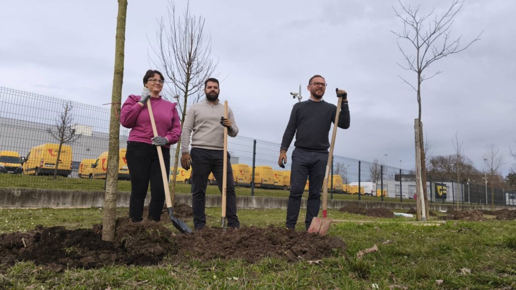 Novi val sadnje u Velikoj Gorici, u Vukomeričkoj ulici posađeno dvjestotinjak stabala