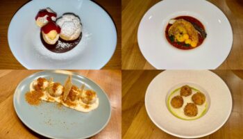 Whatsapp Image 2026 02 04 At 17.09.01