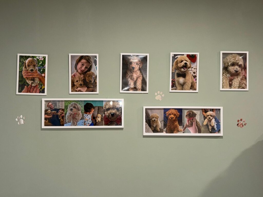 Whatsapp Image 2026 02 18 At 17.46.05 (2)