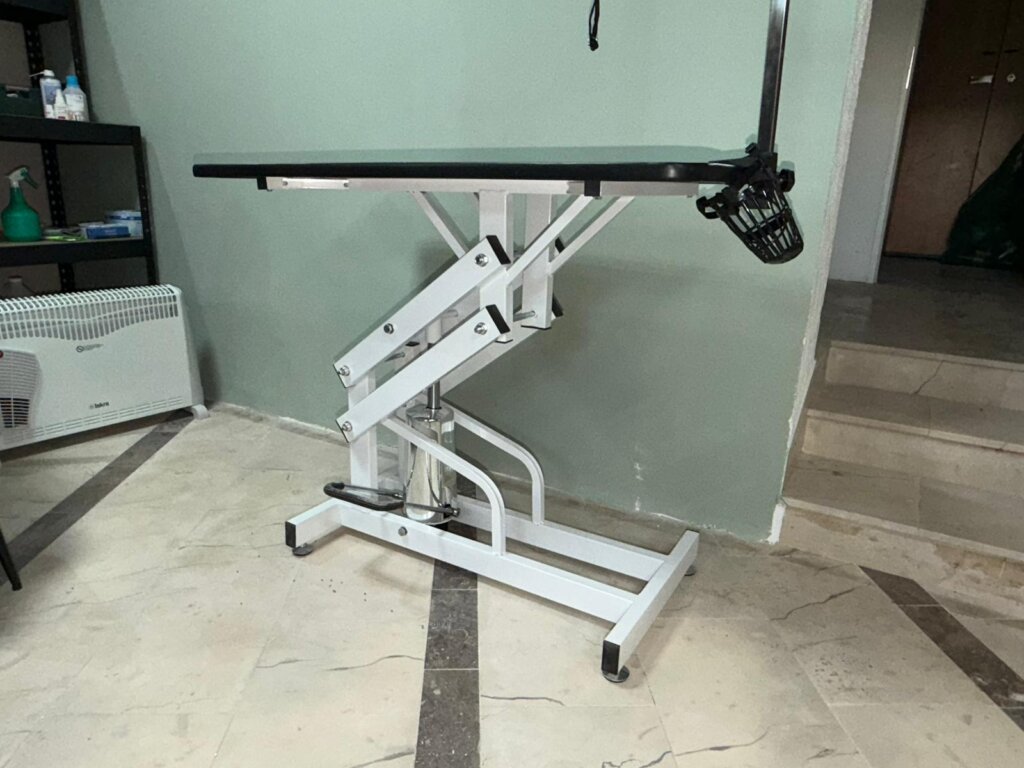 Whatsapp Image 2026 02 18 At 17.46.05