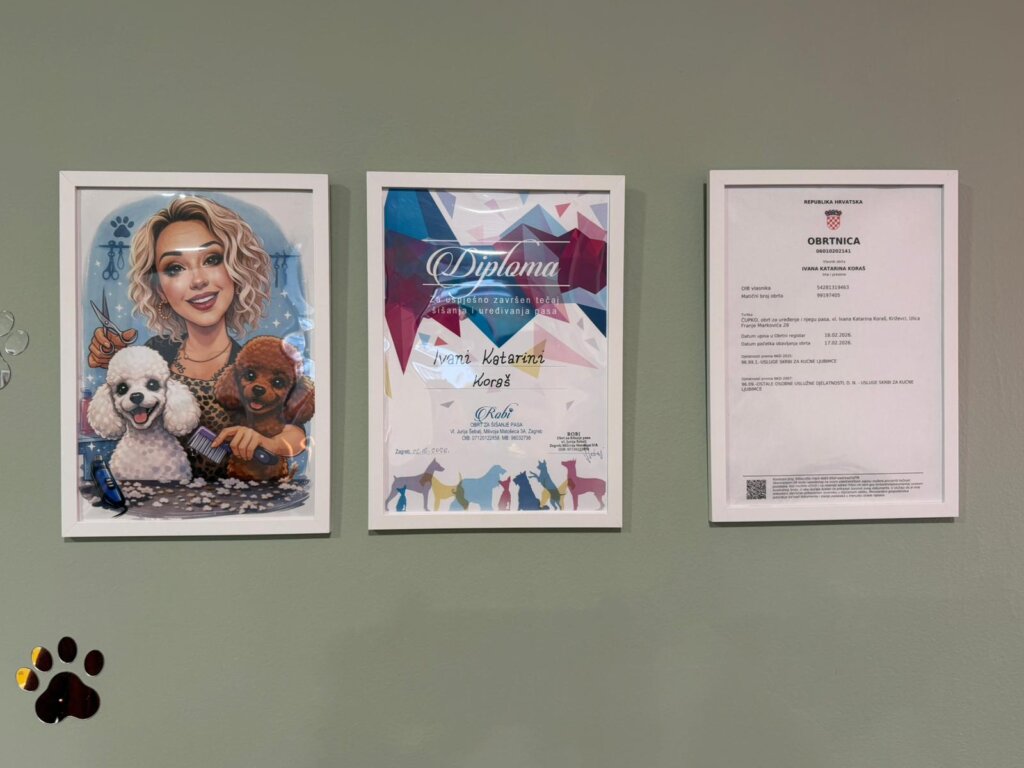 Whatsapp Image 2026 02 18 At 17.46.06 (1)