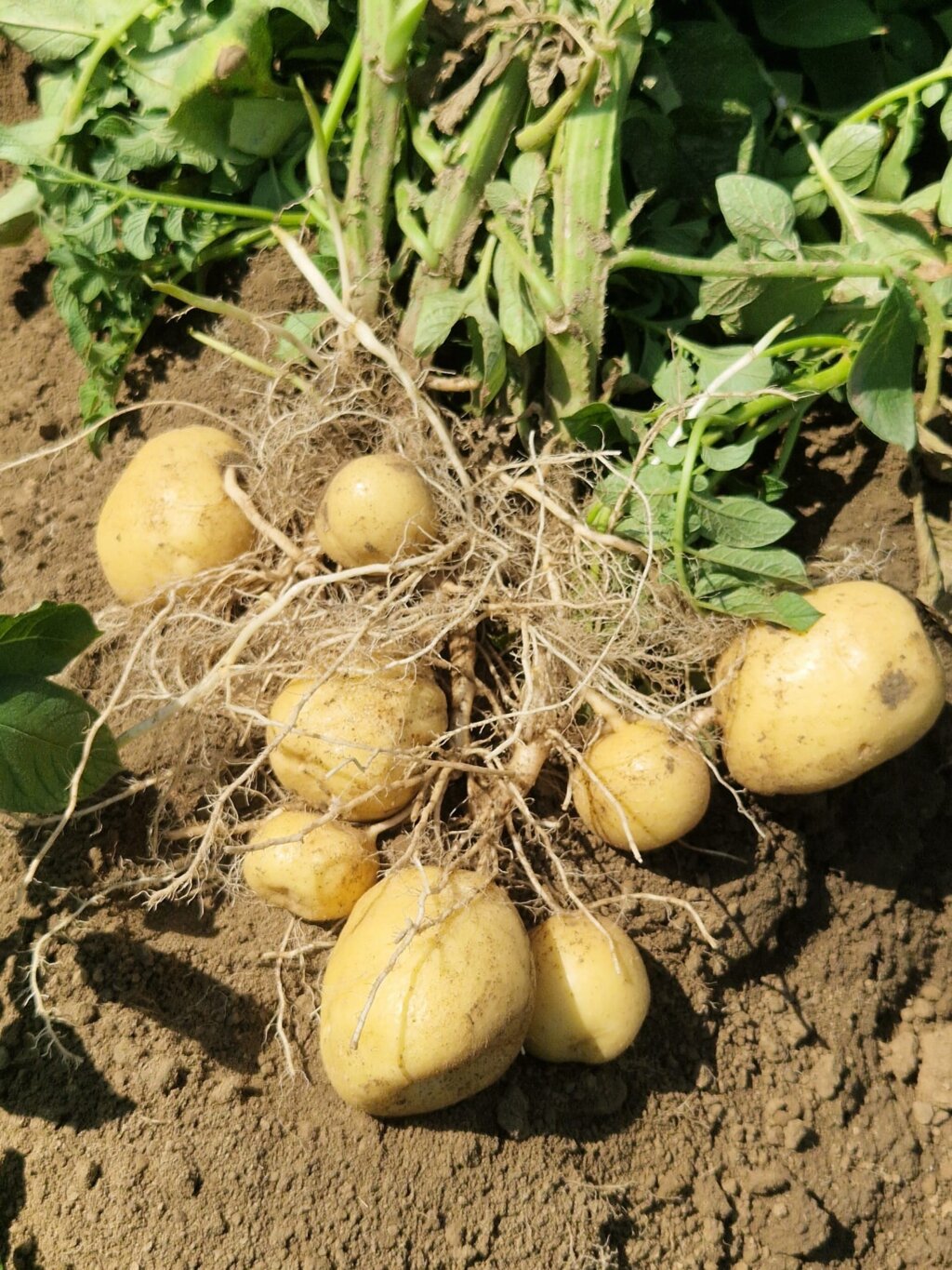 Whatsapp Image 2026 02 23 At 11.21.19