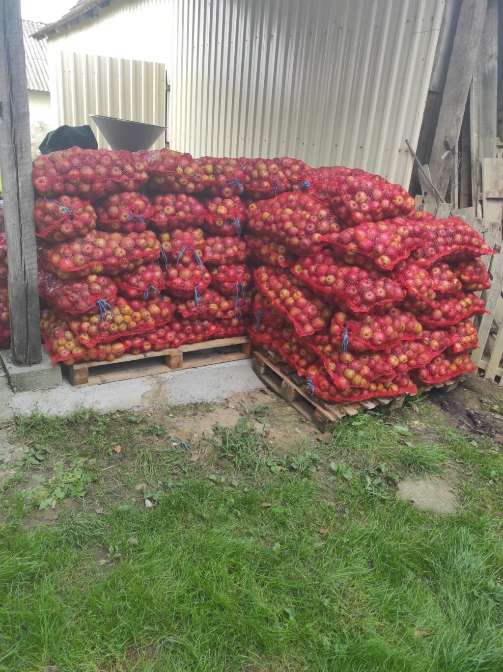 Whatsapp Image 2026 02 25 At 07.44.36 (1)