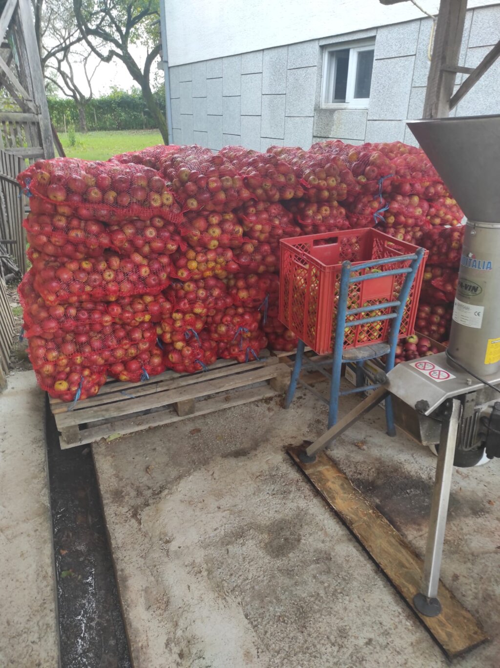 Whatsapp Image 2026 02 25 At 07.44.37