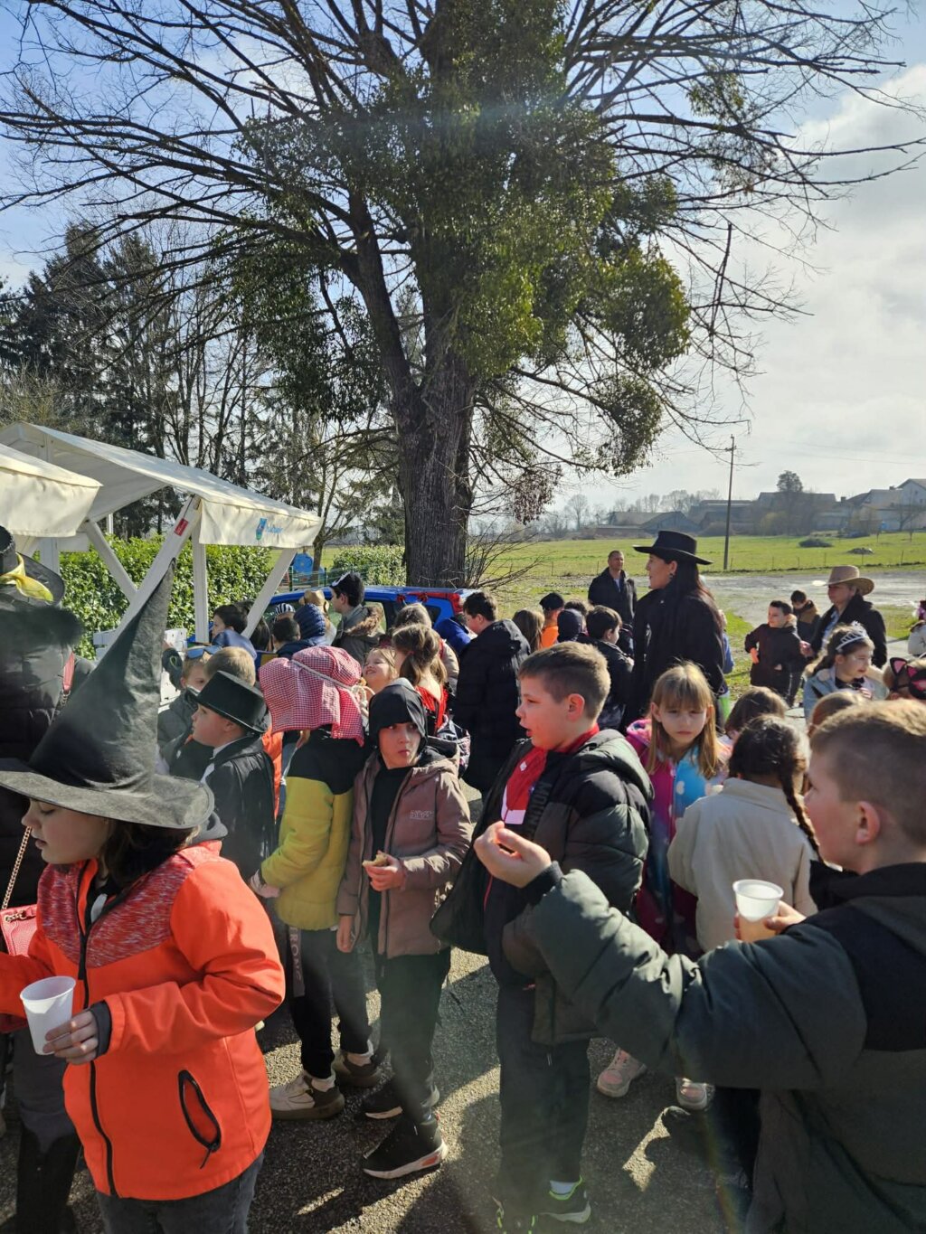 Fašnik Dubrava (15)