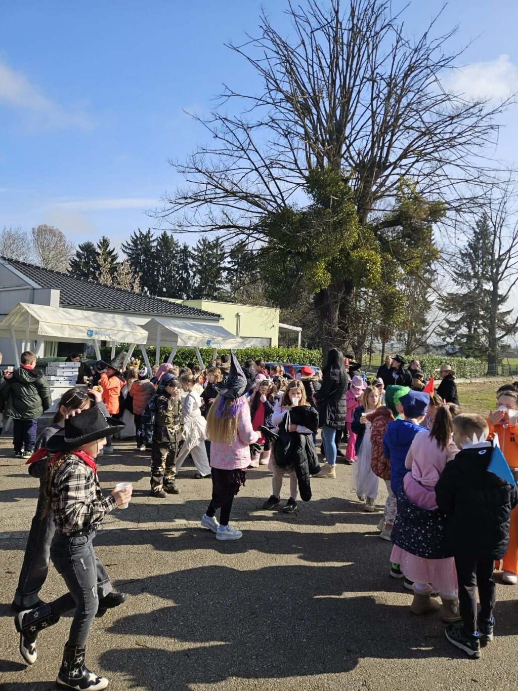 Fašnik Dubrava (19)