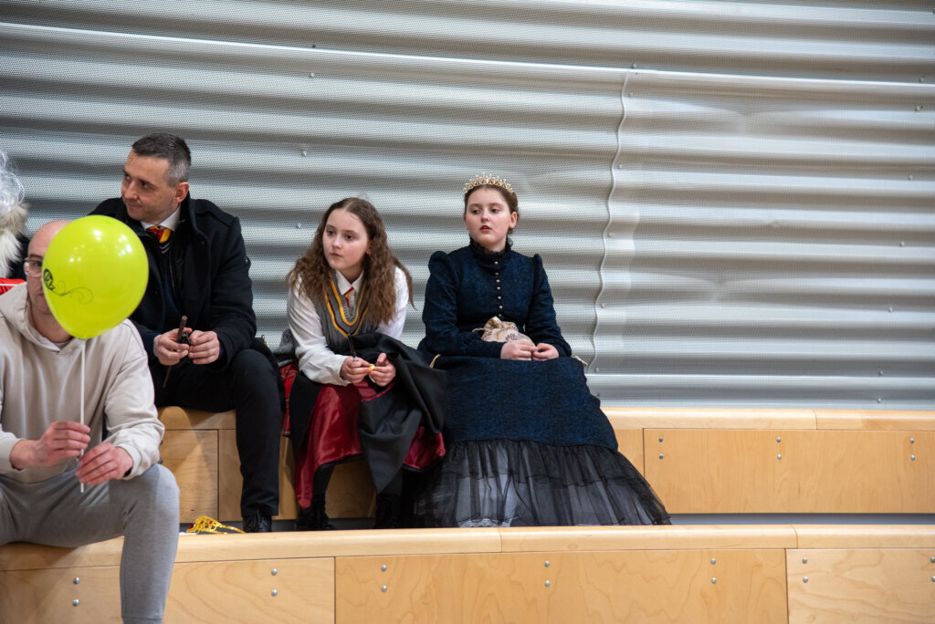 Fašnik Kž 2528 (102)