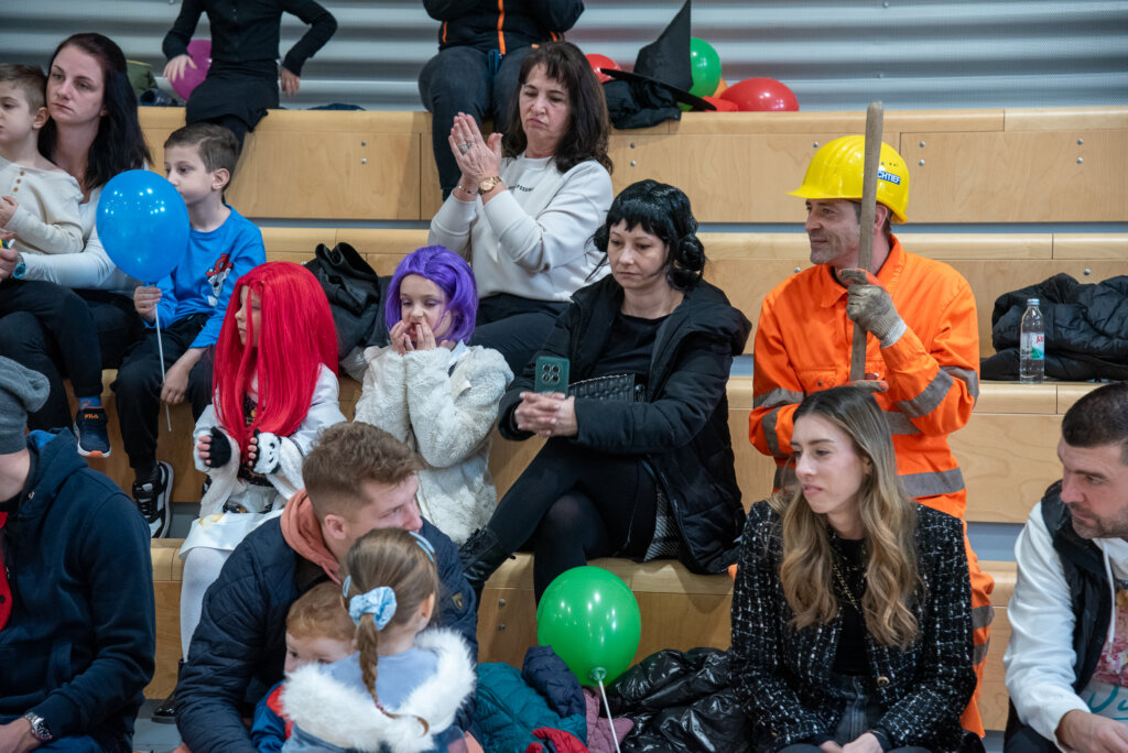 Fašnik Kž 2528 (103)