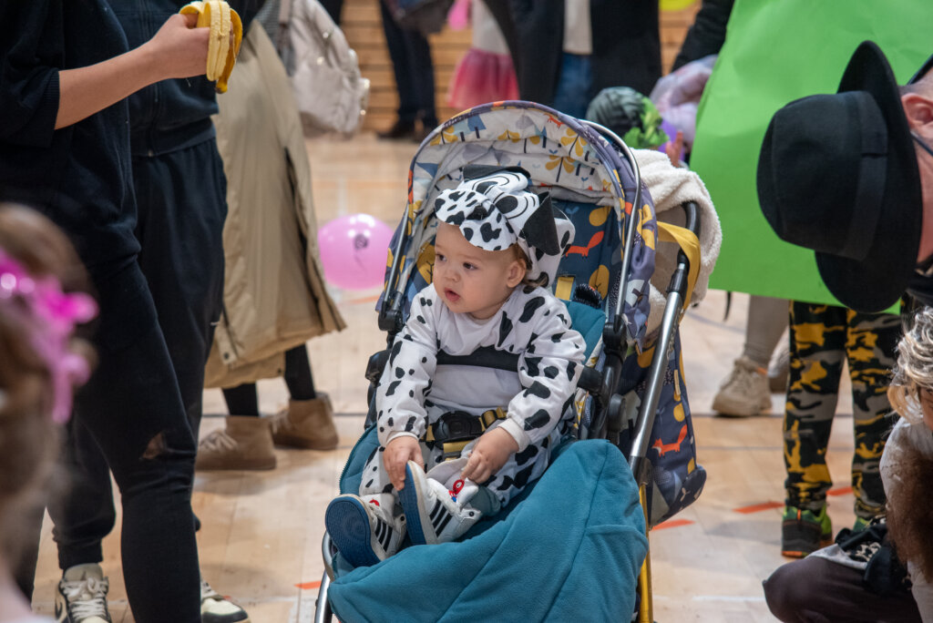 Fašnik Kž 2528 (113)