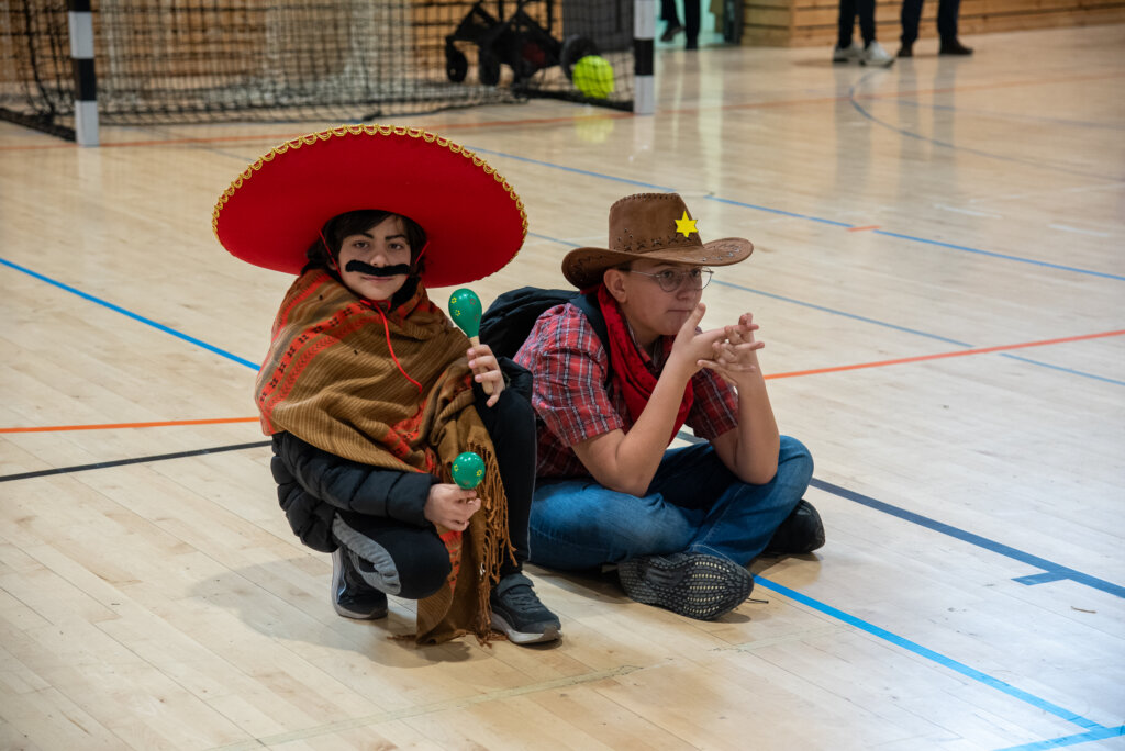 Fašnik Kž 2528 (137)