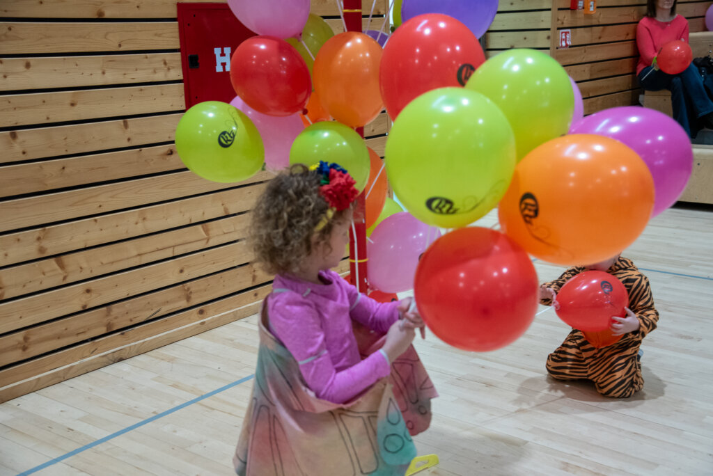 Fašnik Kž 2528 (141)