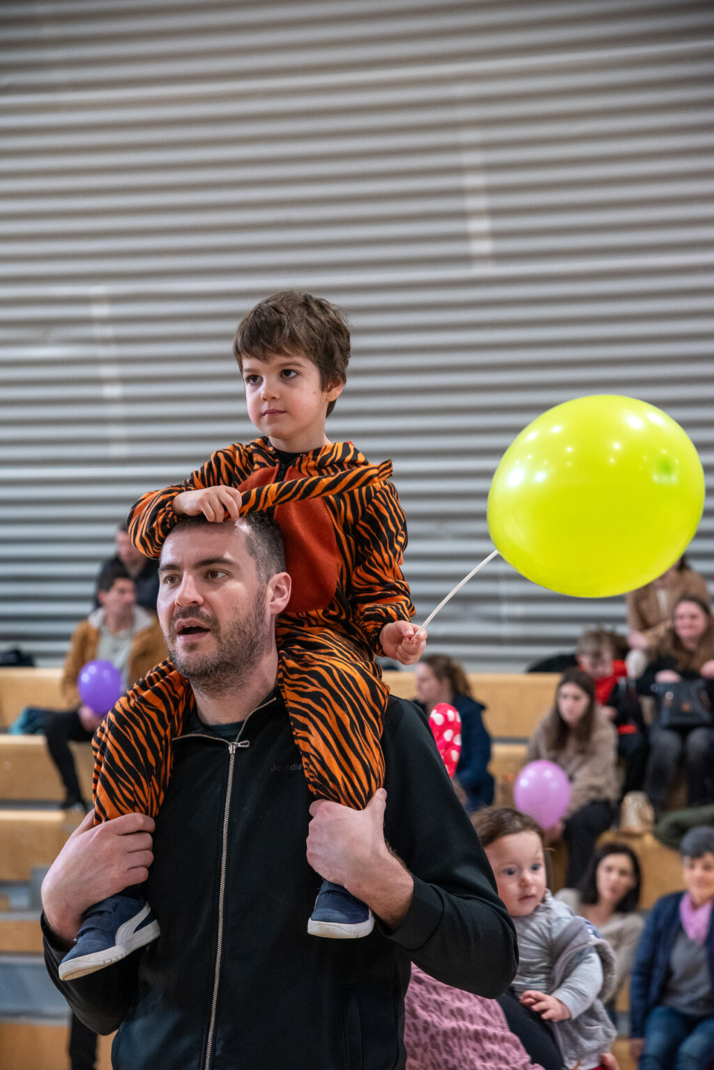 Fašnik Kž 2528 (149)