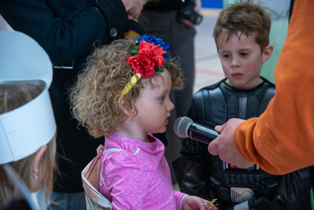 Fašnik Kž 2528 (152)