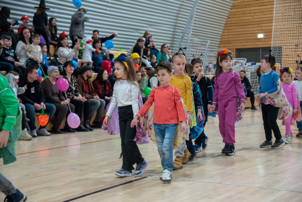 Fašnik Kž 2528 (41)