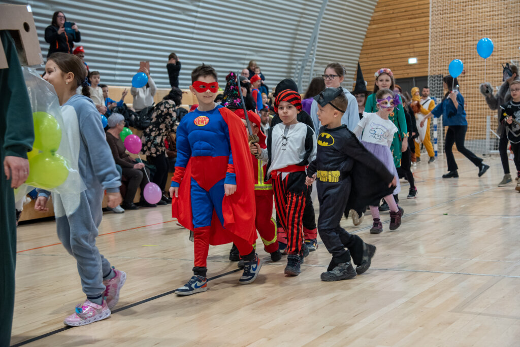 Fašnik Kž 2528 (48)