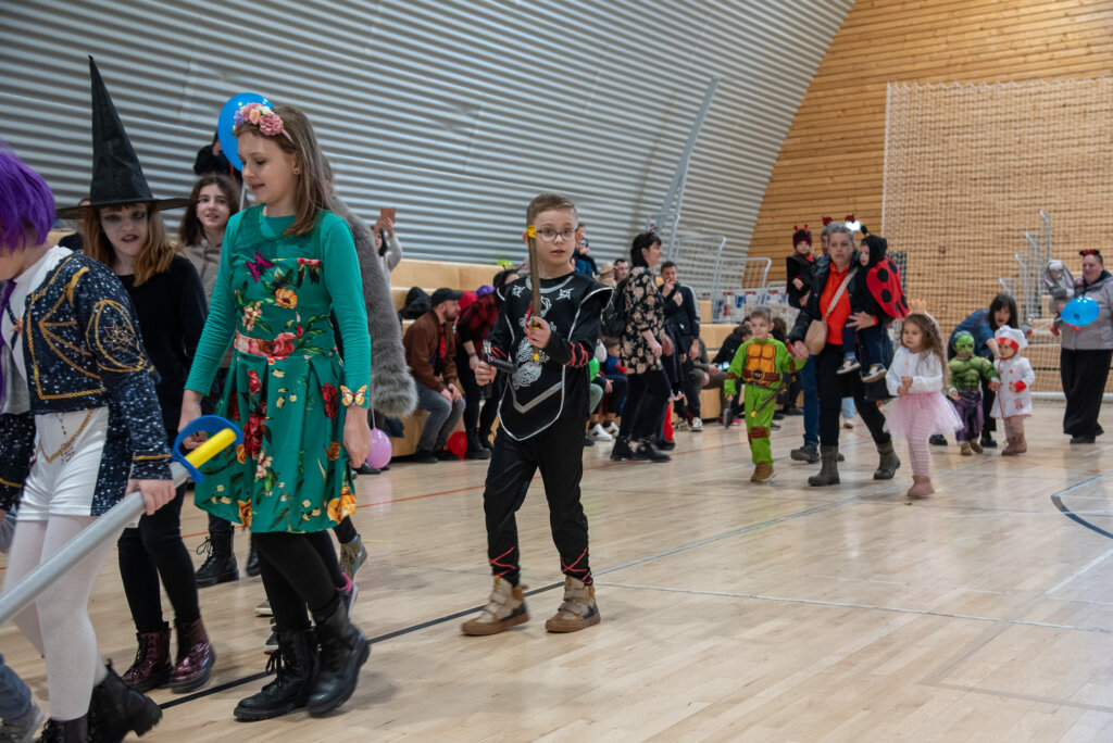 Fašnik Kž 2528 (50)