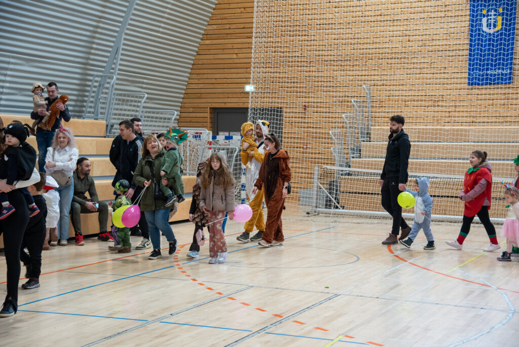 Fašnik Kž 2528 (63)