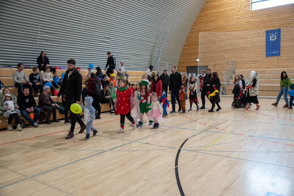 Fašnik Kž 2528 (65)