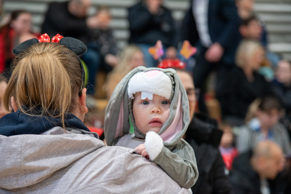 Fašnik Kž 2528 (69)