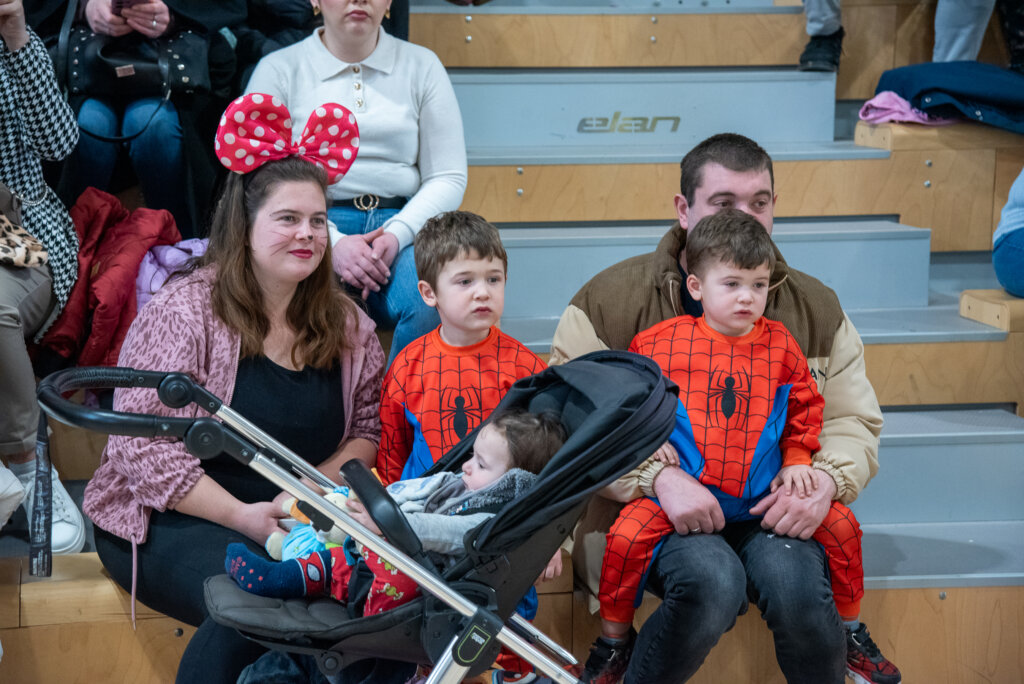 Fašnik Kž 2528 (73)