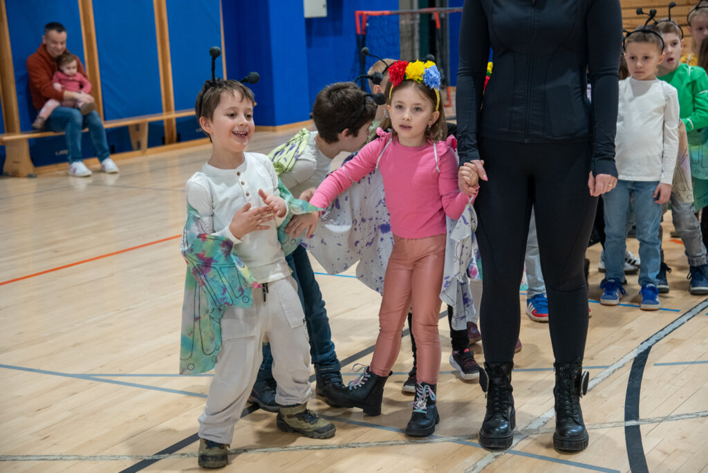 Fašnik Kž 2528 (85)