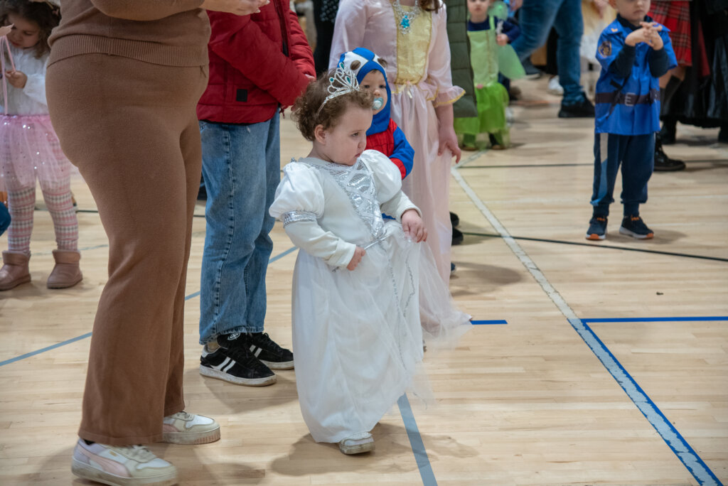 Fašnik Kž 2528 (86)