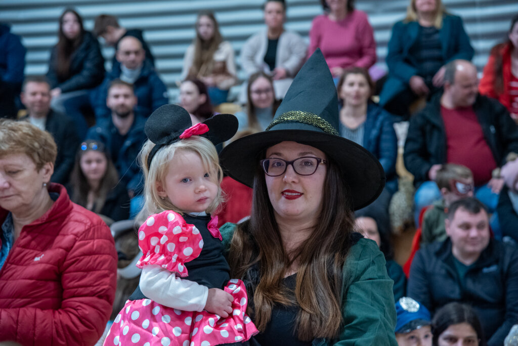 Fašnik Kž 2528 (89)