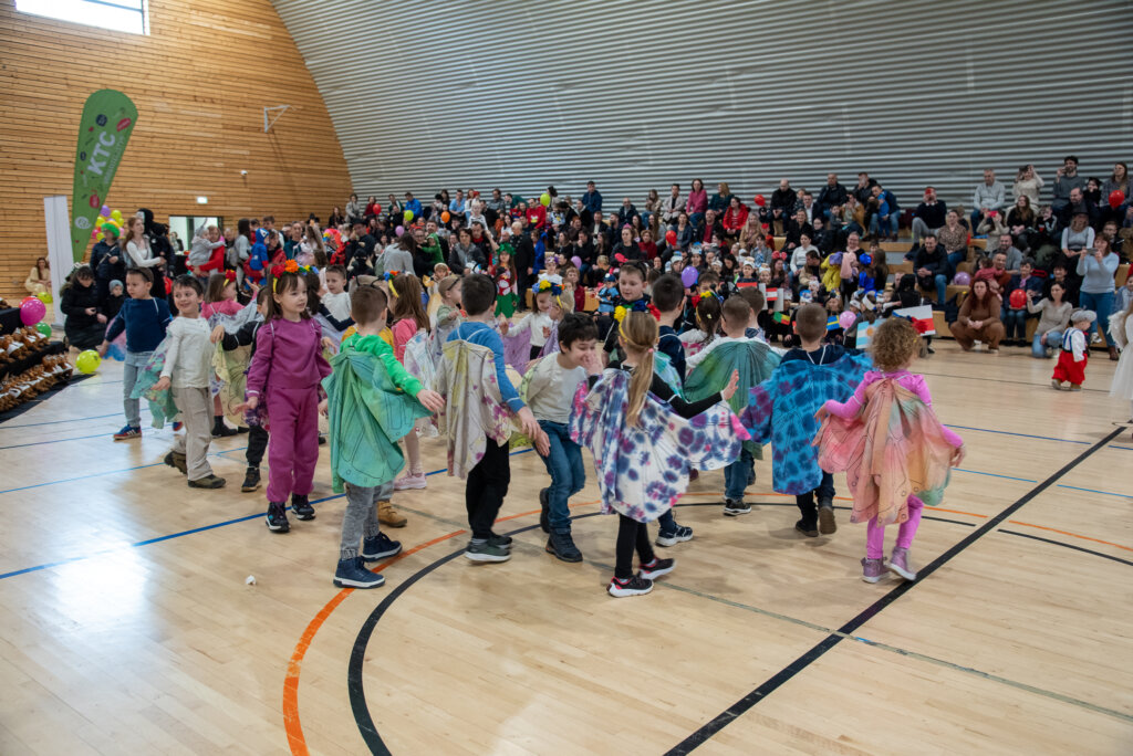 Fašnik Kž 2528 (91)