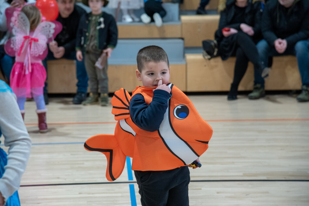 Fašnik Kž 2528 (93)