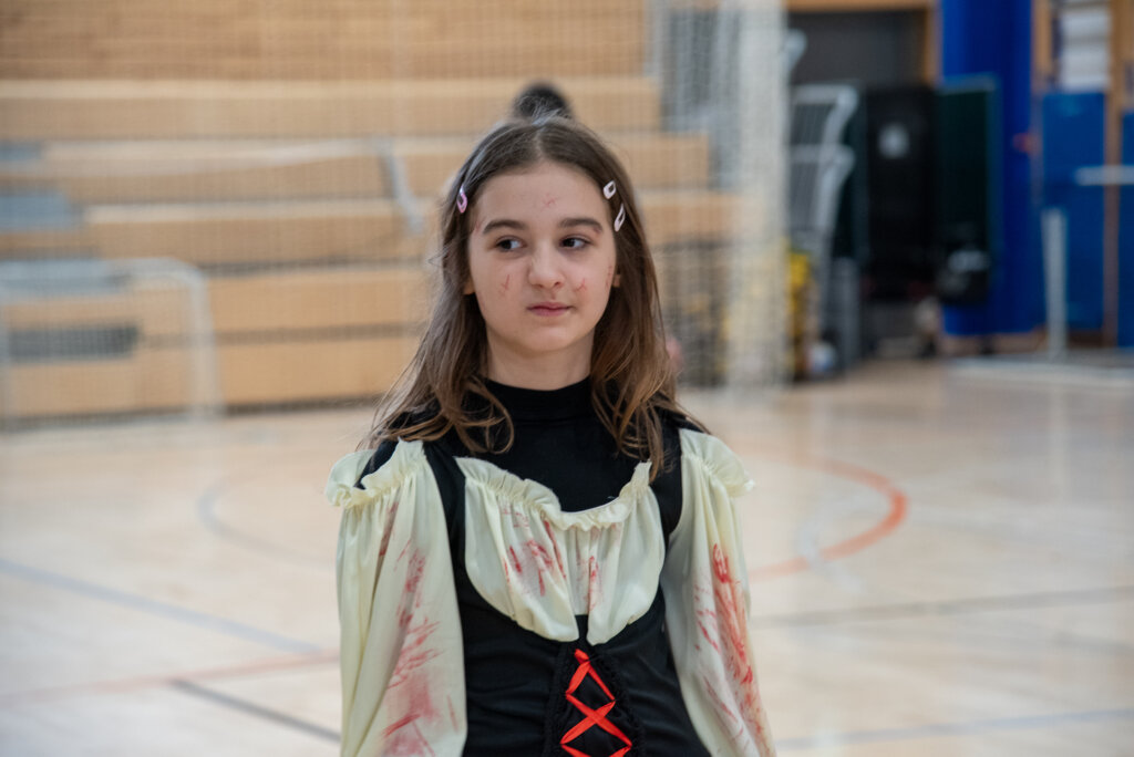 Fašnik Kž 2528 (94)