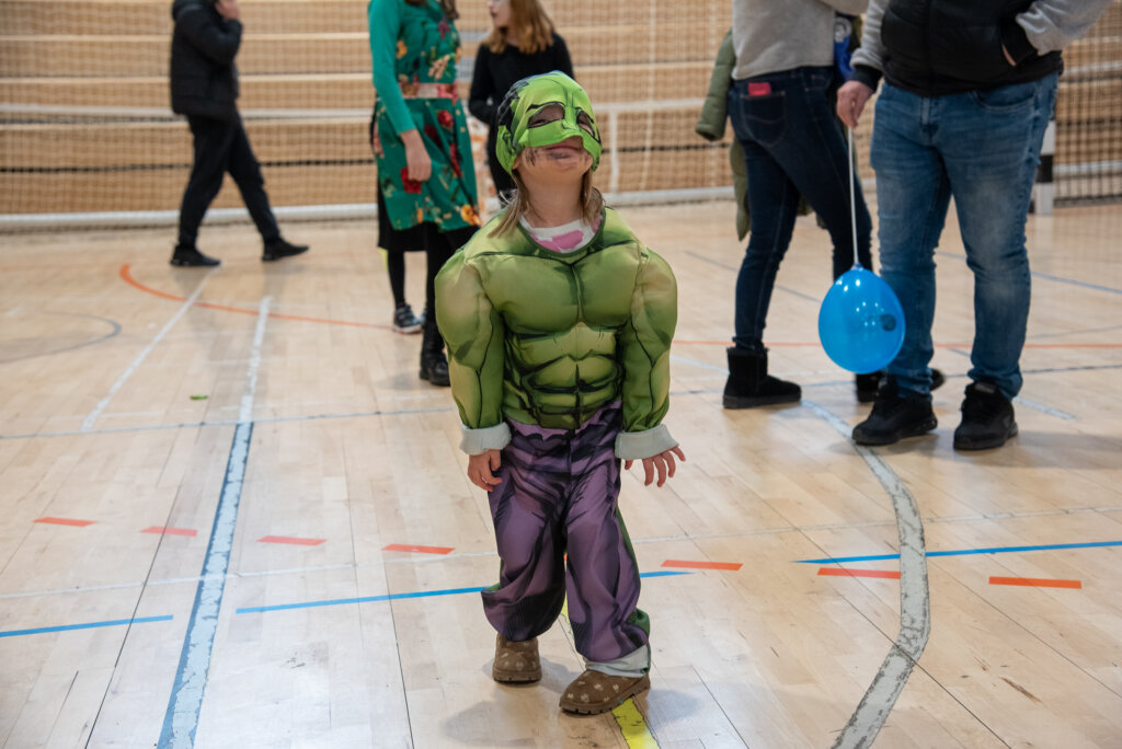 Fašnik Kž 2528 (95)