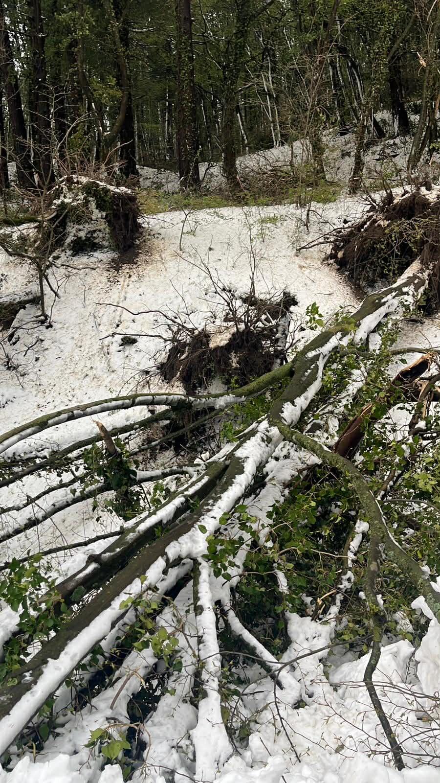 05a83f43 E04b 406f 9c39 A85fe5ed077d