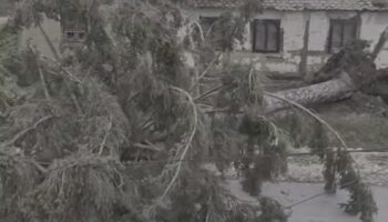 0e7b743e 40c4 482e 8fb9 32938867c4d0