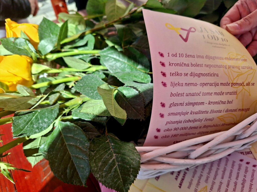 140326 Endometrioza 4