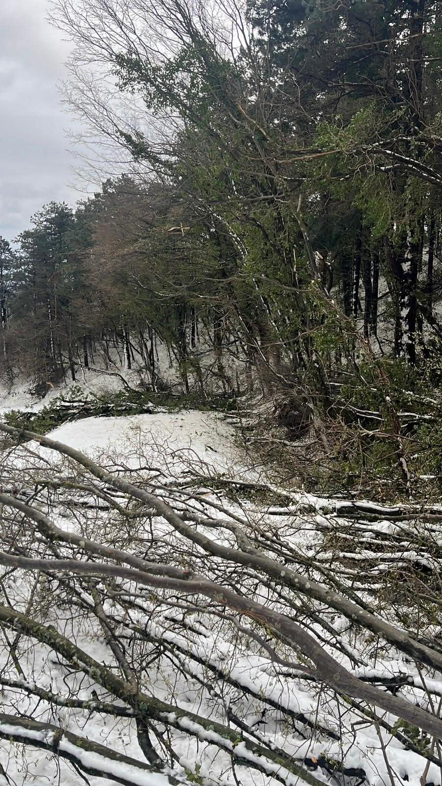 15c97ba8 623a 4a8d 8b33 9461fd25ff75