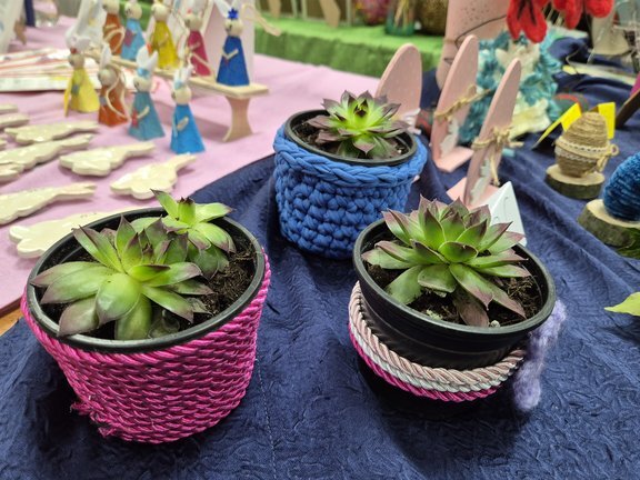 20260324 101040.jpg 648x432 Q85 Subsampling 2