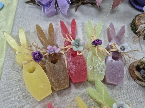 20260324 101144.jpg 648x432 Q85 Subsampling 2