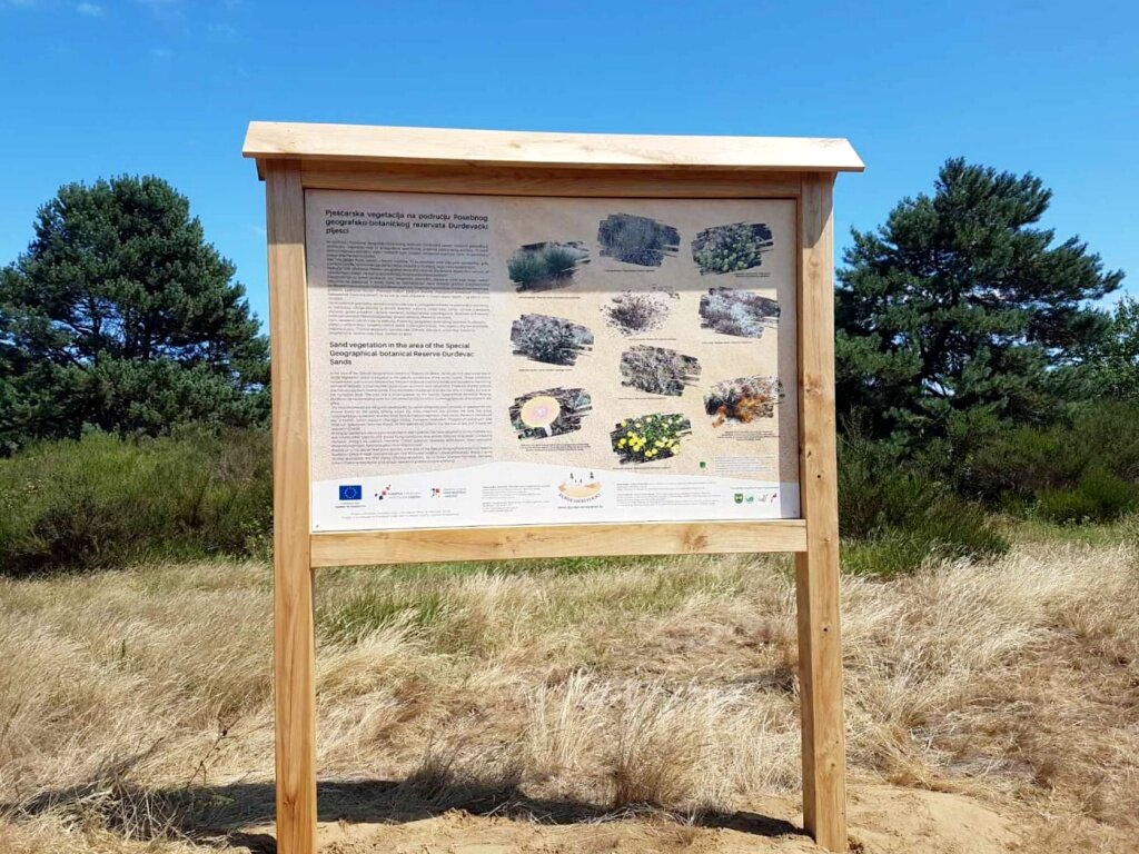 238886360 265599568420928 144438073975674585 N