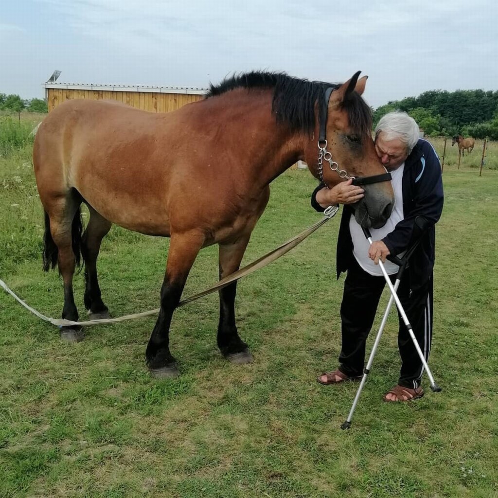 338882728 878373036585352 6318669406590375368 N