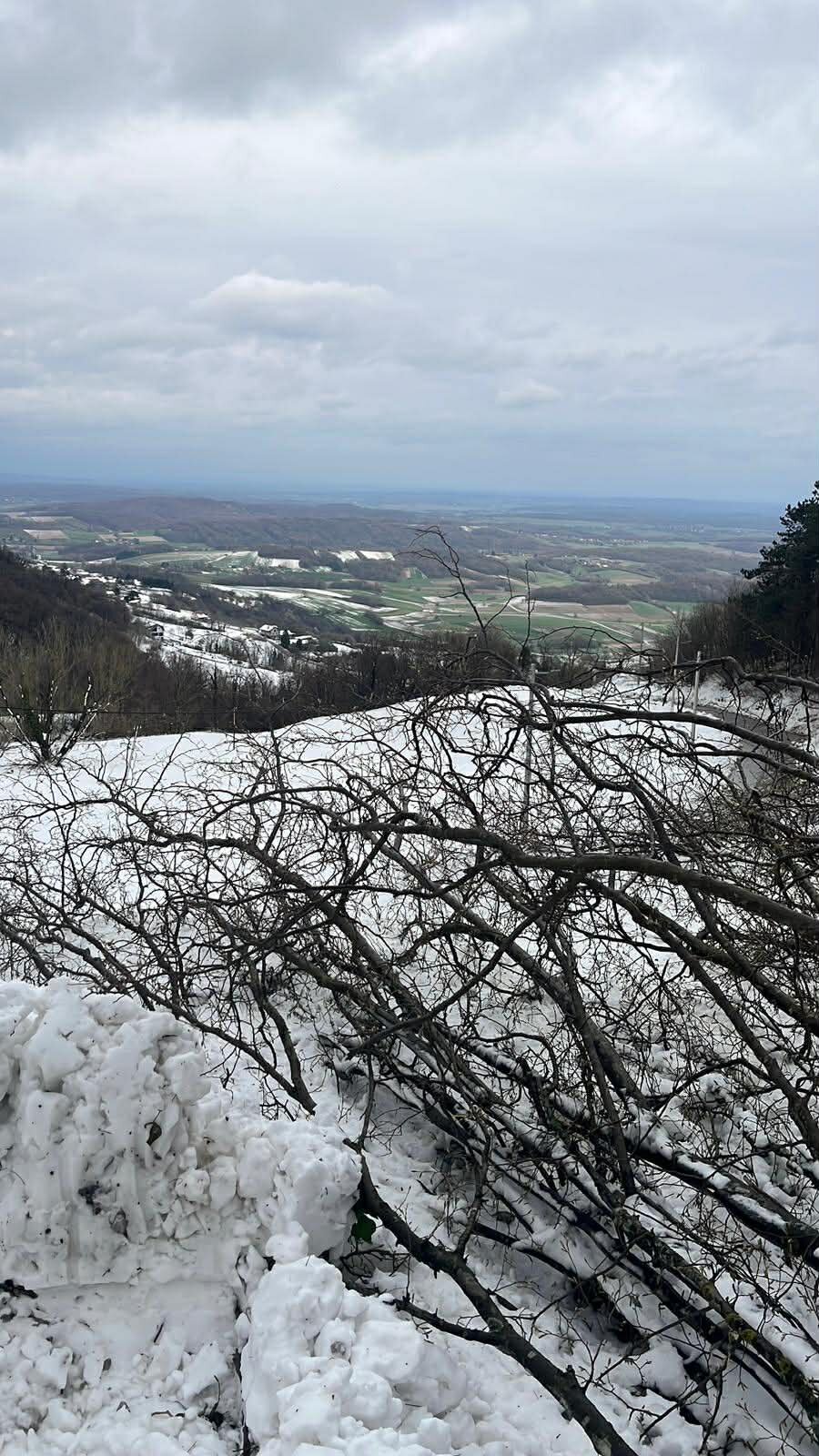 54c94a89 D34c 486e 8f86 17e962952111